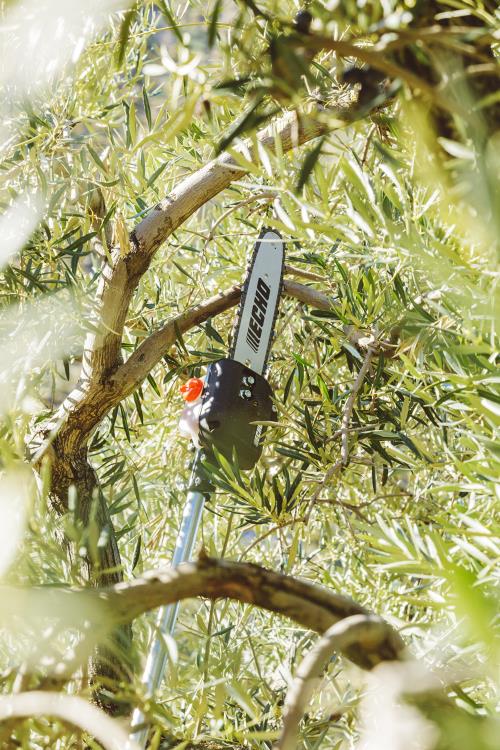 Echo X-Series Power Pruner with telescopic shaft PPT-2620HES - PAS-2620ES-MTA-PP-2019 (13).jpg